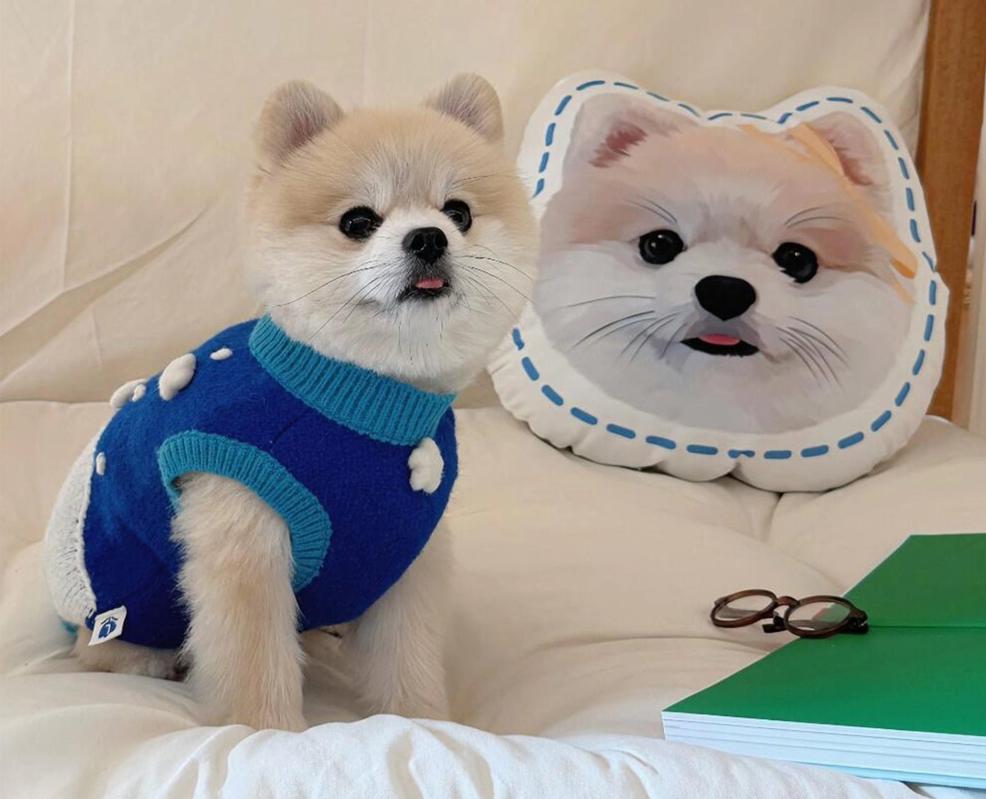 Custom Pet Pillows - Little Tail Custom